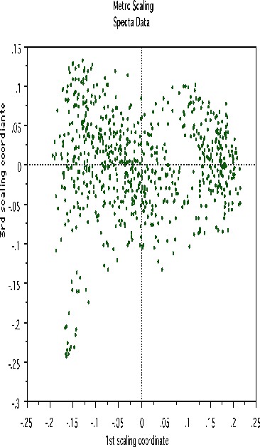 Download this Random Forests picture