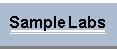 samplelabs.jpg (1729 bytes)