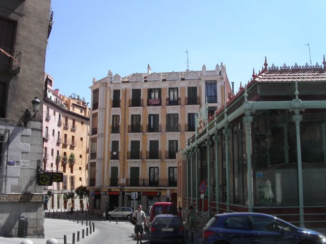 Photograph