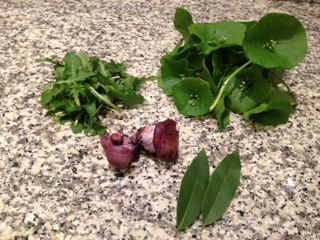 foraged greens