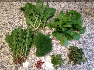 even more foraged greens