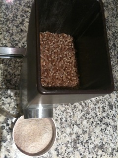 grinding red winter wheat