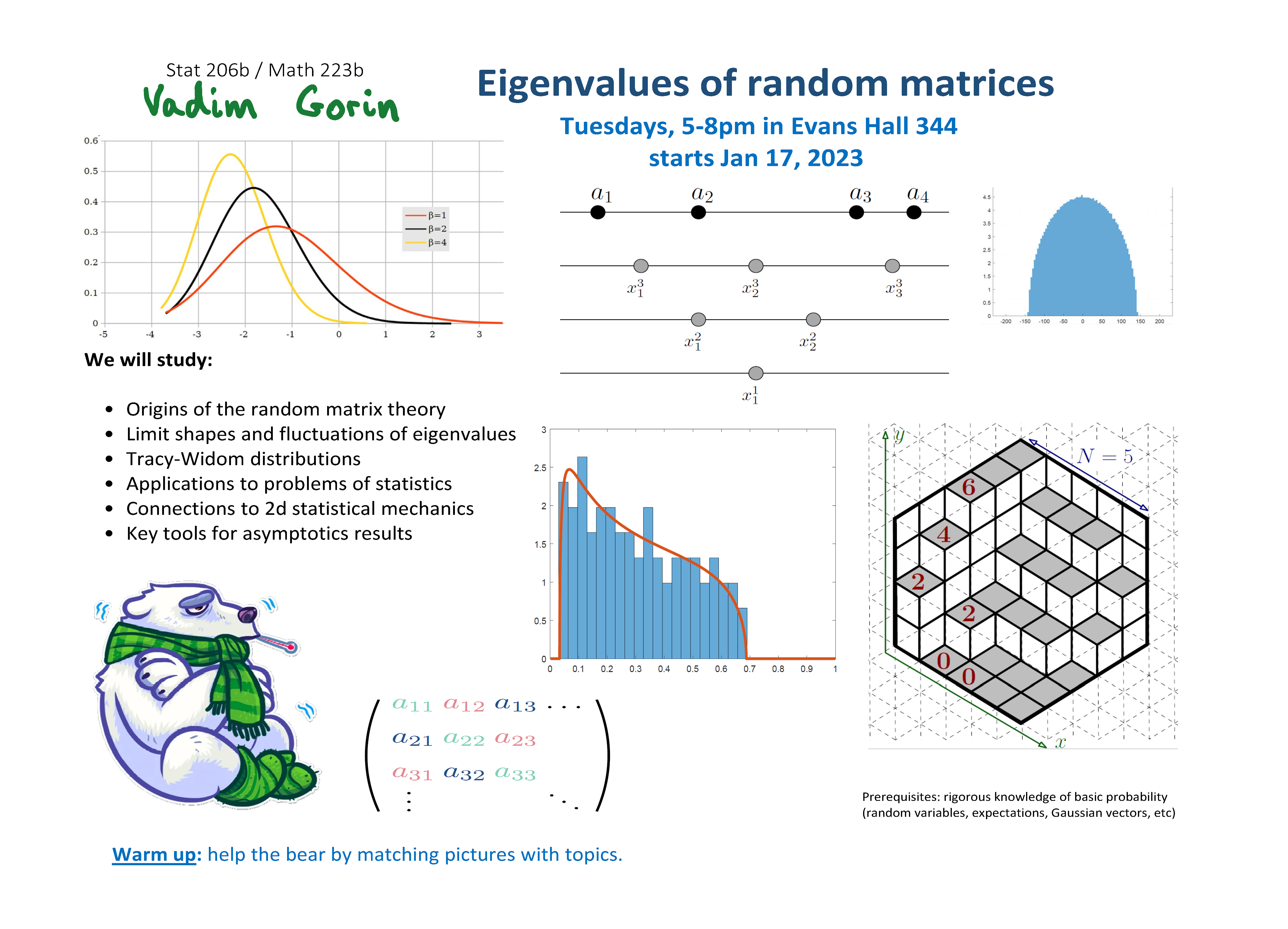 Stat 206b Poster