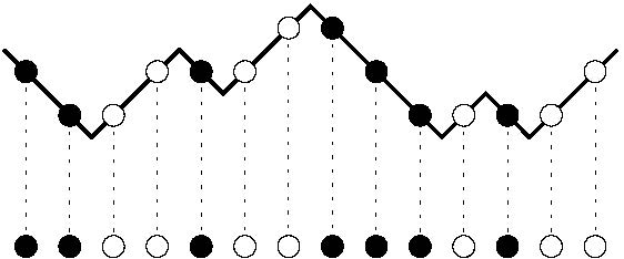 Height function in an interacting particle system